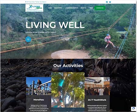 ds website