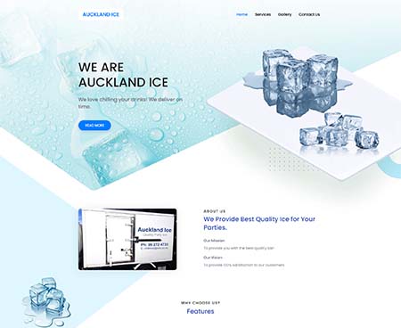 ds website