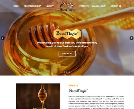 ds website