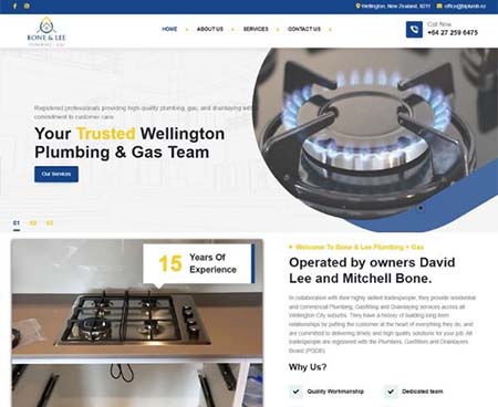 ds website