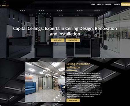 ds websites
