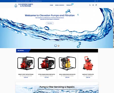 ds website