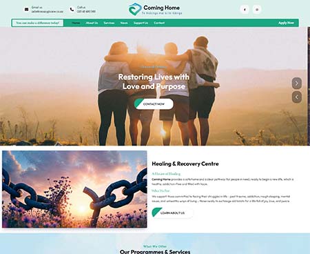ds website