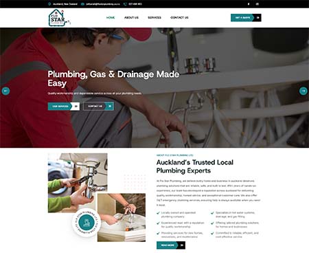 ds website