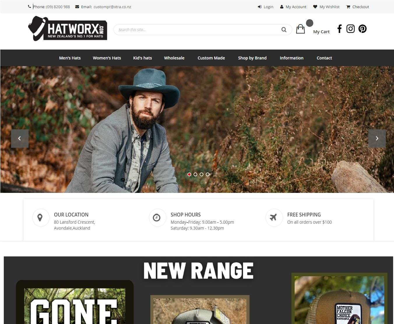 ds websites