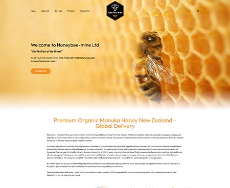 ds website