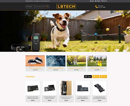 ds website