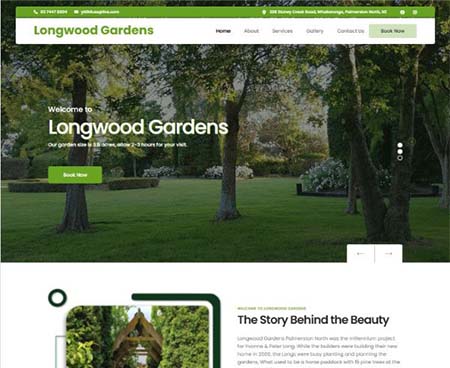 ds website