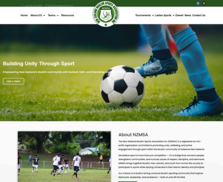 ds websites
