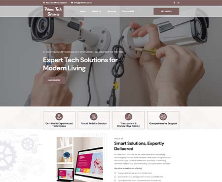 ds website