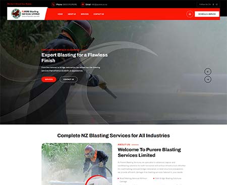 ds website