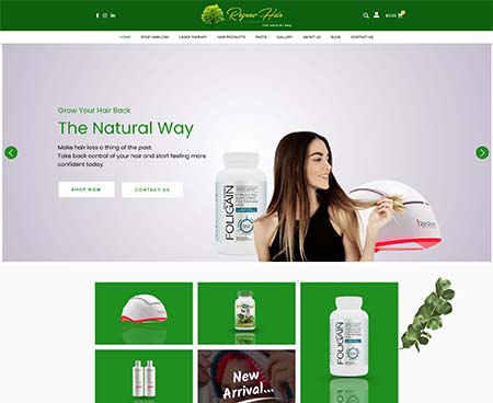 ds website
