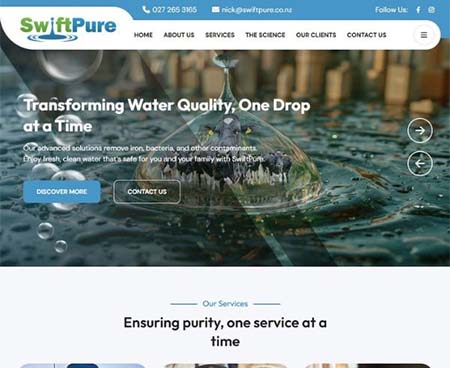 ds website