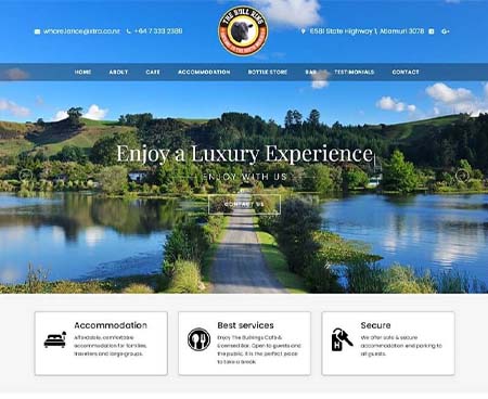 ds website