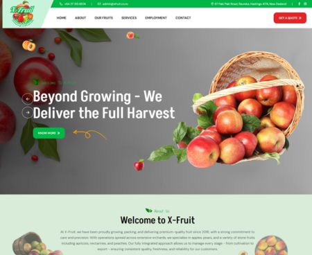 ds website